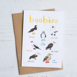 Sarah Edmonds Greeting Card Boobies