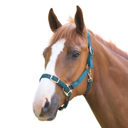 Shires Adjustable Headcollar