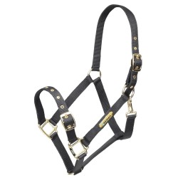 Arma Adjustable Headcollar