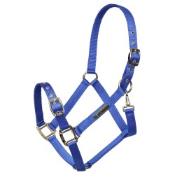 Arma Adjustable Headcollar