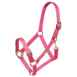 Arma Adjustable Headcollar