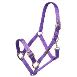 Arma Adjustable Headcollar
