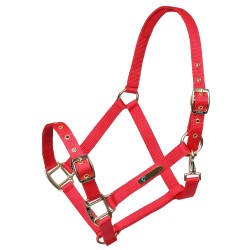 Arma Adjustable Headcollar