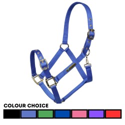 Arma Adjustable Headcollar