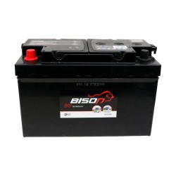 Leisure / Fence Battery L110