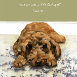 Little Dog Greeting Card Cockapoo