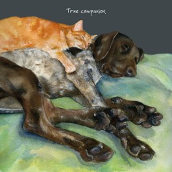 Little Dog Greeting Card Pointer True Companion