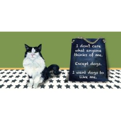 Little Dog Greeting Card Black & White Cat