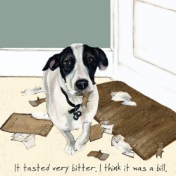 Little Dog Greeting Card Jack Russell Cross Bill