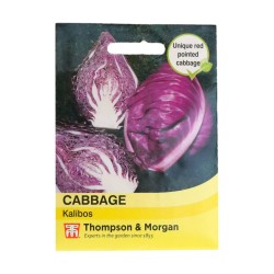 Thompson & Morgan Cabbage Kalibos