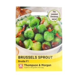 Thompson & Morgan Brussels Sprout Brodie F1