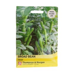 Thompson & Morgan Broad Bean Oscar