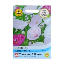 Thompson & Morgan Cosmos Cupcakes Mixed
