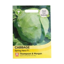 Thompson & Morgan Cabbage Spring Hero F1