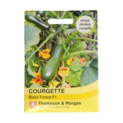 Thompson & Morgan Courgette Black Forest F1