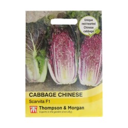 Thompson & Morgan Cabbage Chinese Scarvita F1