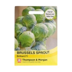 Thompson & Morgan Brussels Sprout Brilliant F1