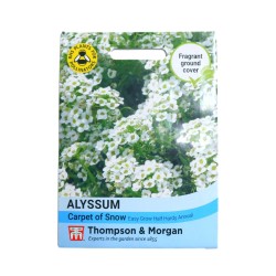 Thompson & Morgan Alyssum Carpet Of Snow