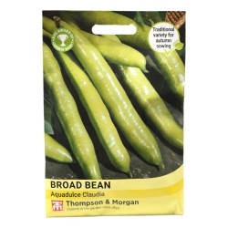 Thompson & Morgan Broad Bean Aquadulce Claudia