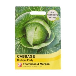 Thompson & Morgan Cabbage Durham Early