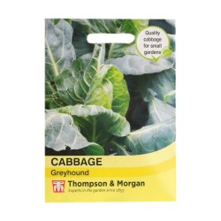 Thompson & Morgan Cabbage Greyhound