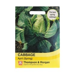 Thompson & Morgan Cabbage April (Spring)