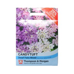 Thompson & Morgan Candytuft Dwarf Fairy Mixed