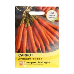 Thompson & Morgan Carrot Amsterdam Forcing 3