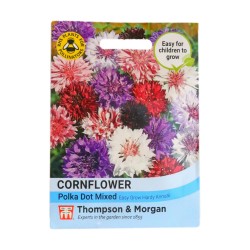 Thompson & Morgan Cornflower Polka Dot Mixed