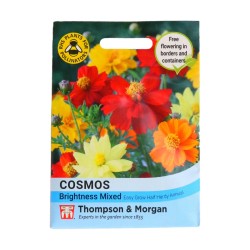Thompson & Morgan Cosmos Brightness Mixed