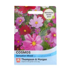Thompson & Morgan Cosmos Sensation Mixed
