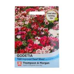 Thompson & Morgan Godetia Improved Dwarf