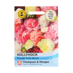 Thompson & Morgan Hollyhock Powder Puffs Mixed