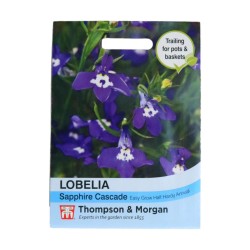 Thompson & Morgan Lobelia Sapphire Cascade