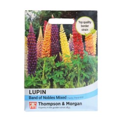 Thompson & Morgan Lupin Band Of Nobles Mixed