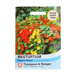 Thompson & Morgan Nasturtium Alaska Mixed