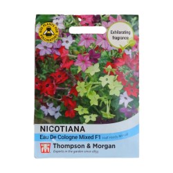Thompson & Morgan Nicotiana Eau De Cologne
