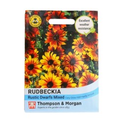 Thompson & Morgan Rudbeckia Rustic Dwarf