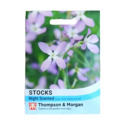 Thompson & Morgan Stocks Night Scented