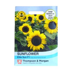 Thompson & Morgan Sunflower Elite Sun F1