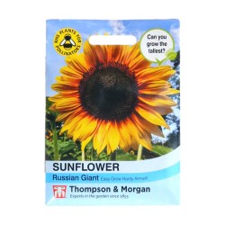 Thompson & Morgan Sunflower Russian Giant