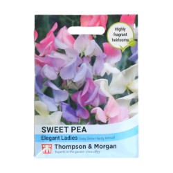 Thompson & Morgan Sweet Pea Elegant Ladies Mix