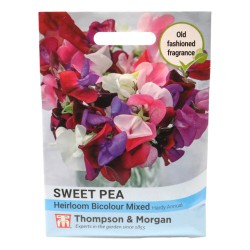 Thompson & Morgan Sweet Pea Heirloom Bicolour
