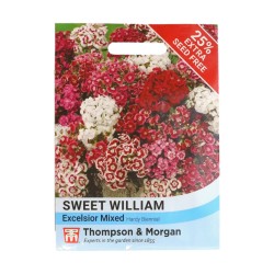 Thompson & Morgan Sweet William Excelsior Mixed