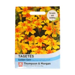 Thompson & Morgan Tagetes Golden Gem