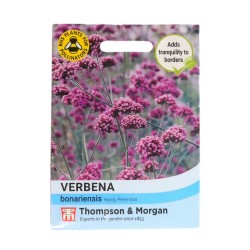 Thompson & Morgan Verbena Bonariensis