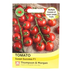 Thompson & Morgan Tomato Sweet Success