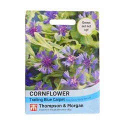 Thompson & Morgan Cornflower Trail Blue Carpet