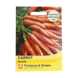 Thompson & Morgan Carrot Norfolk