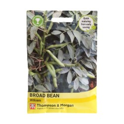 Thompson & Morgan Broad Bean Witkiem